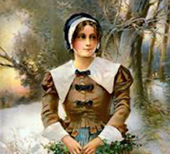 溫和花露的照片